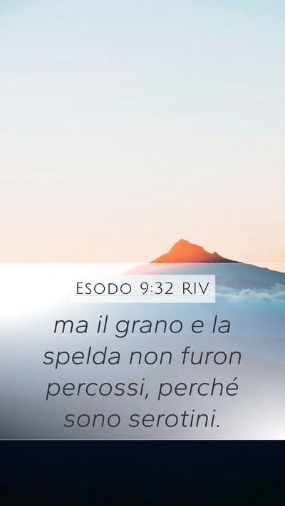 Esodo 9:32 RIV Bible Verse Image