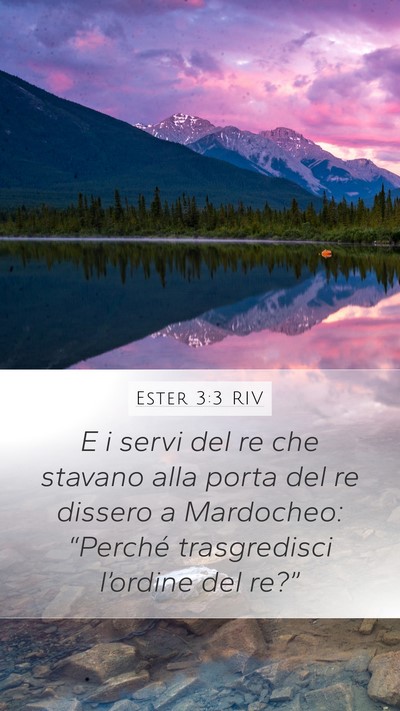 Ester 3:3 RIV Mobile Phone Wallpaper - E i servi del re che stavano alla porta del re - Mobile Bible Verse Wallpaper