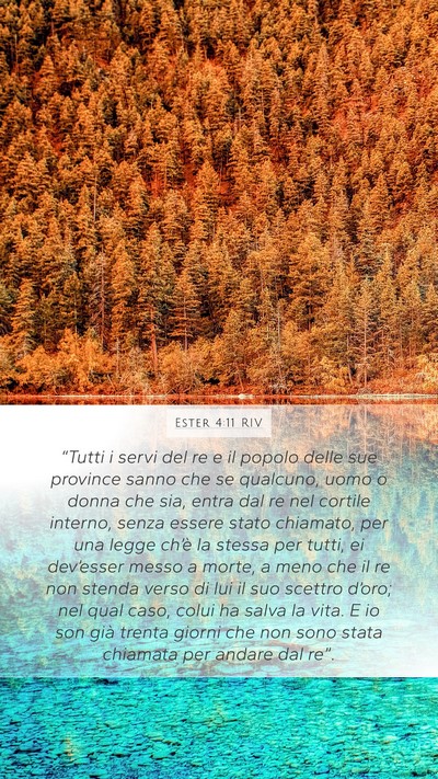Ester 4:11 RIV Bible Verse Image