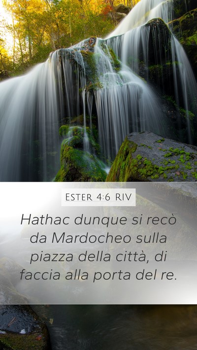 Ester 4:6 RIV Mobile Phone Wallpaper - Hathac dunque si recò da Mardocheo sulla piazza - Mobile Bible Verse Wallpaper