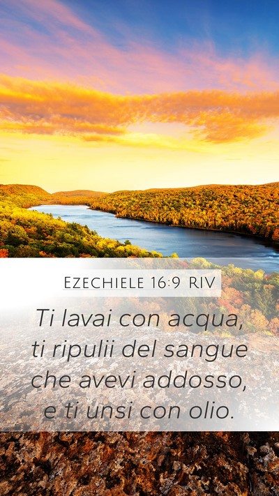 Ezechiele 16:9 RIV Mobile Phone Wallpaper - Ti lavai con acqua, ti ripulii del sangue che - Mobile Bible Verse Wallpaper