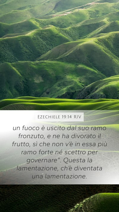 Ezechiele 19:14 RIV Bible Verse Image