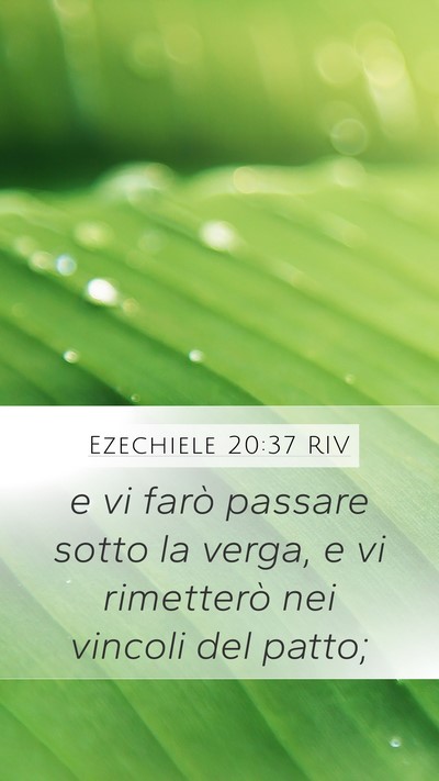 Ezechiele 20:37 RIV Mobile Phone Wallpaper - e vi farò passare sotto la verga, e vi - Mobile Bible Verse Wallpaper