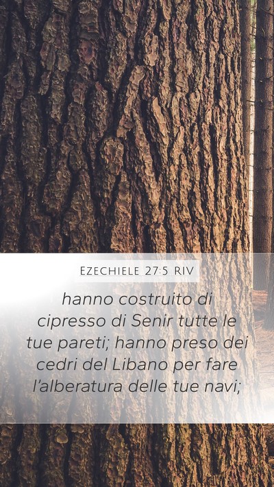 Ezechiele 27:5 RIV Bible Verse Image