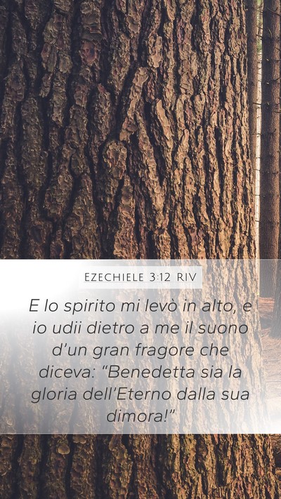 Ezechiele 3:12 RIV Bible Verse Image