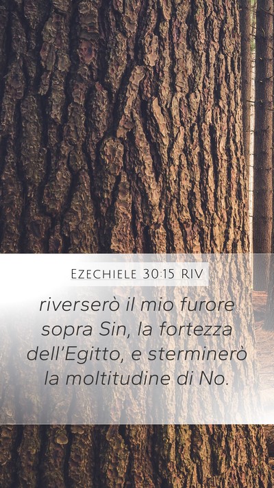Ezechiele 30:15 RIV Bible Verse Image