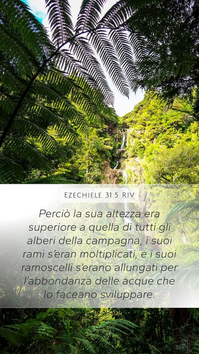 Ezechiele 31:5 RIV Mobile Phone Wallpaper - Perciò la sua altezza era superiore a quella di - Mobile Bible Verse Wallpaper