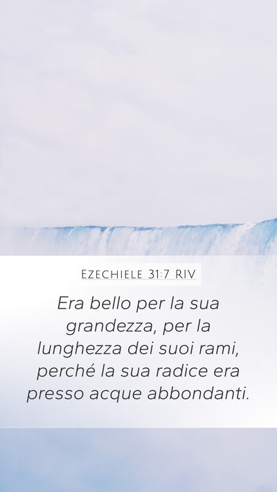 Ezechiele 31:7 RIV Mobile Phone Wallpaper - Era bello per la sua grandezza, per la lunghezza - Mobile Bible Verse Wallpaper