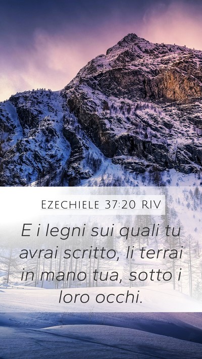 Ezechiele 37:20 RIV Bible Verse Image