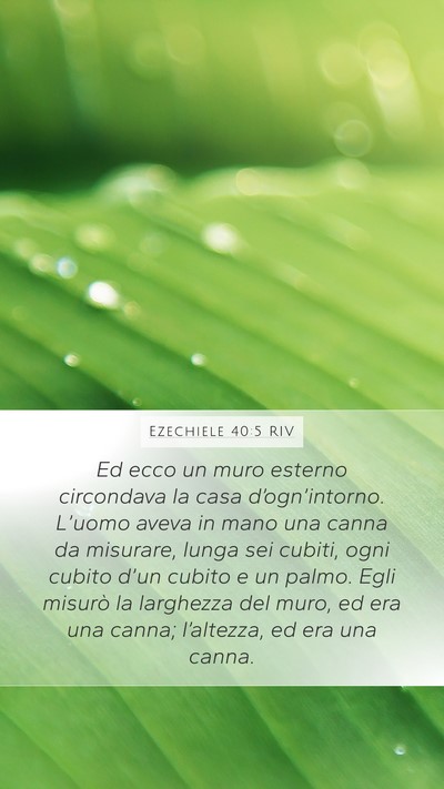 Ezechiele 40:5 RIV Bible Verse Image