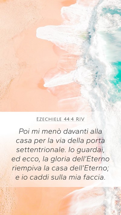 Ezechiele 44:4 RIV Bible Verse Image
