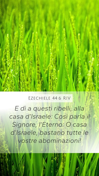 Ezechiele 44:6 RIV Mobile Phone Wallpaper - E dì a questi ribelli, alla casa d’Israele: - Mobile Bible Verse Wallpaper
