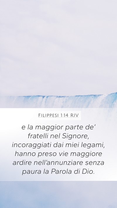 Filippesi 1:14 RIV Bible Verse Image