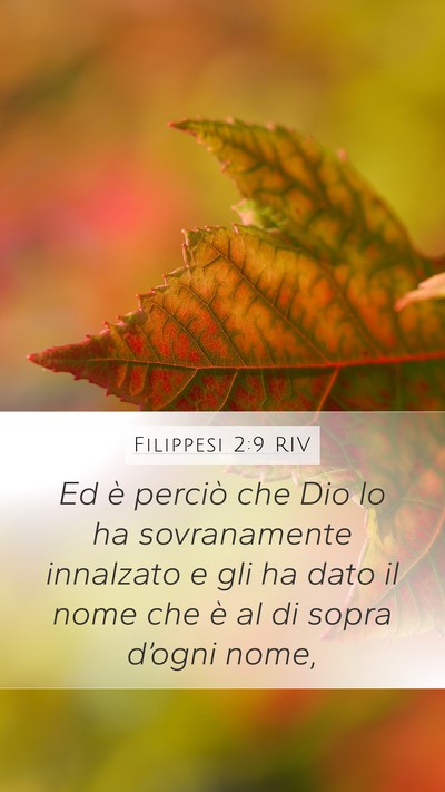 Filippesi 2:9 RIV Bible Verse Image