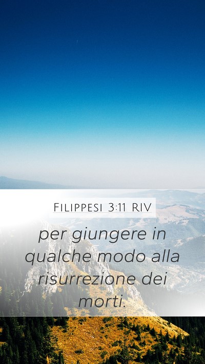 Filippesi 3:11 RIV Mobile Phone Wallpaper - per giungere in qualche modo alla risurrezione - Mobile Bible Verse Wallpaper