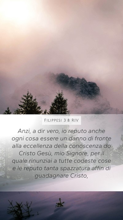 Filippesi 3:8 RIV Bible Verse Image