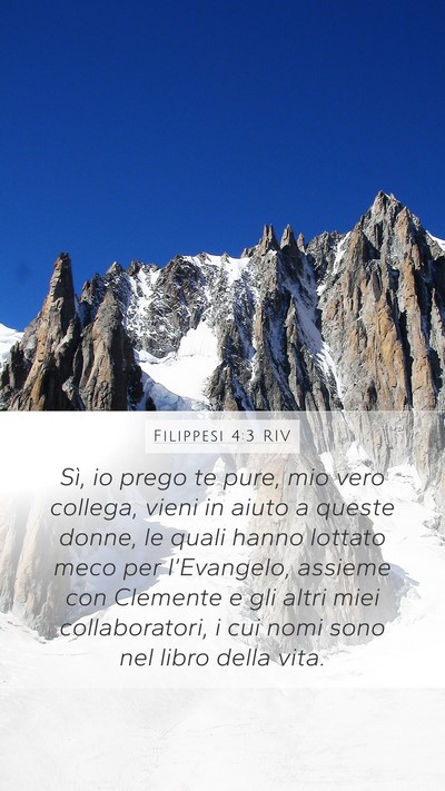 Filippesi 4:3 RIV Bible Verse Image