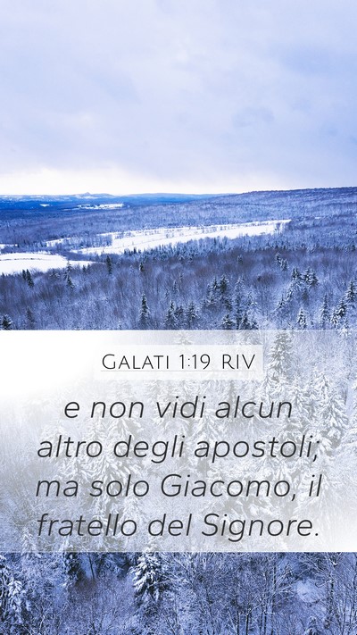 Galati 1:19 RIV Bible Verse Image