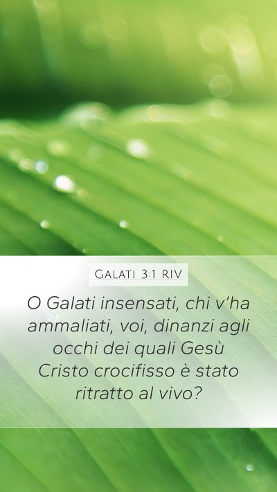 Galati 3:1 RIV Bible Verse Image