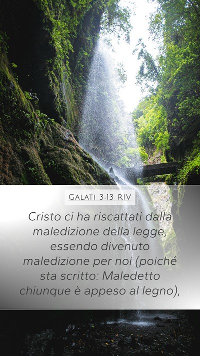 Galati 3:13 RIV Bible Verse Image