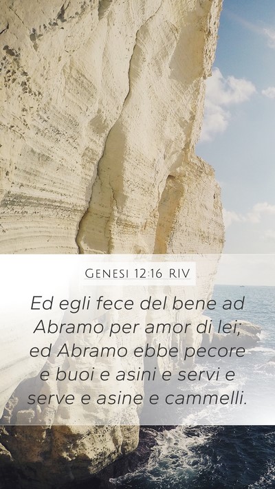 Genesi 12:16 RIV Bible Verse Image