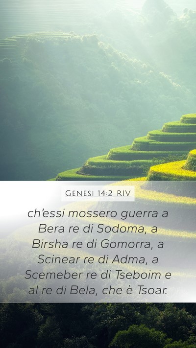 Genesi 14:2 RIV Bible Verse Image