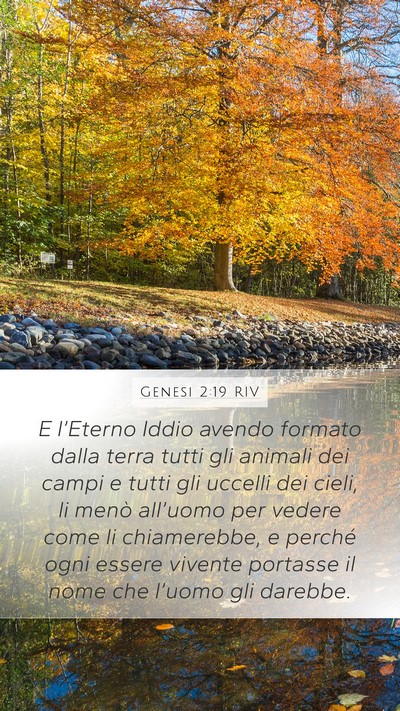 Genesi 2:19 RIV Bible Verse Image