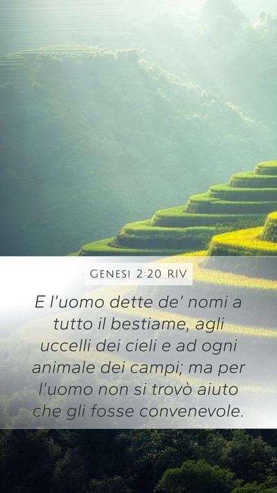 Genesi 2:20 RIV Bible Verse Image