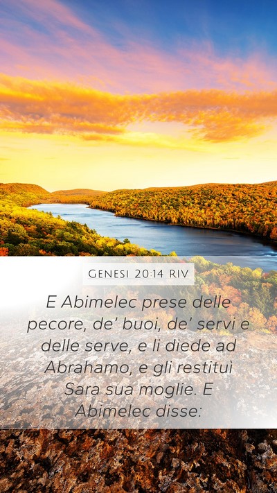 Genesi 20:14 RIV Bible Verse Image