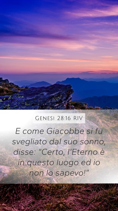 Genesi 28:16 RIV Mobile Phone Wallpaper - E come Giacobbe si fu svegliato dal suo sonno, - Mobile Bible Verse Wallpaper