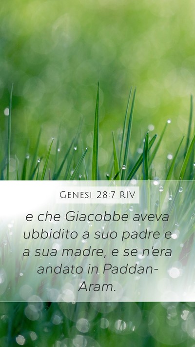Genesi 28:7 RIV Mobile Phone Wallpaper - e che Giacobbe aveva ubbidito a suo padre e a sua - Mobile Bible Verse Wallpaper