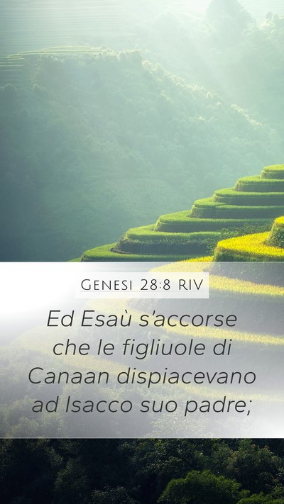 Genesi 28:8 RIV Bible Verse Image