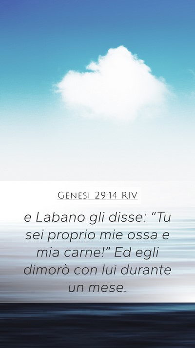 Genesi 29:14 RIV Bible Verse Image
