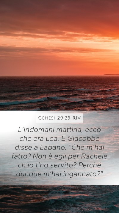 Genesi 29:25 RIV Bible Verse Image