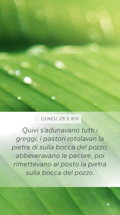 Genesi 29:3 RIV Mobile Phone Wallpaper - Quivi s’adunavano tutti i greggi; i pastori - Mobile Bible Verse Wallpaper