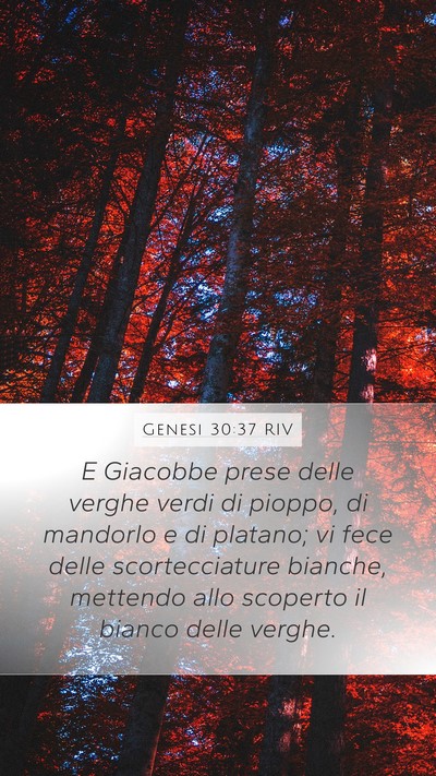 Genesi 30:37 RIV Bible Verse Image