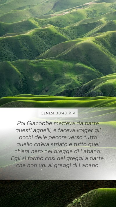 Genesi 30:40 RIV Mobile Phone Wallpaper - Poi Giacobbe metteva da parte questi agnelli, e - Mobile Bible Verse Wallpaper