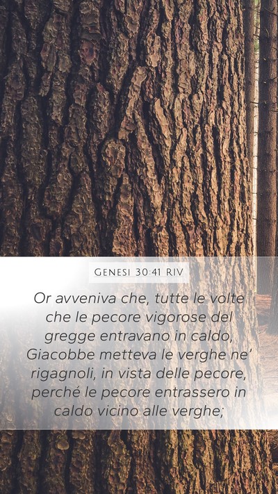 Genesi 30:41 RIV Mobile Phone Wallpaper - Or avveniva che, tutte le volte che le pecore - Mobile Bible Verse Wallpaper