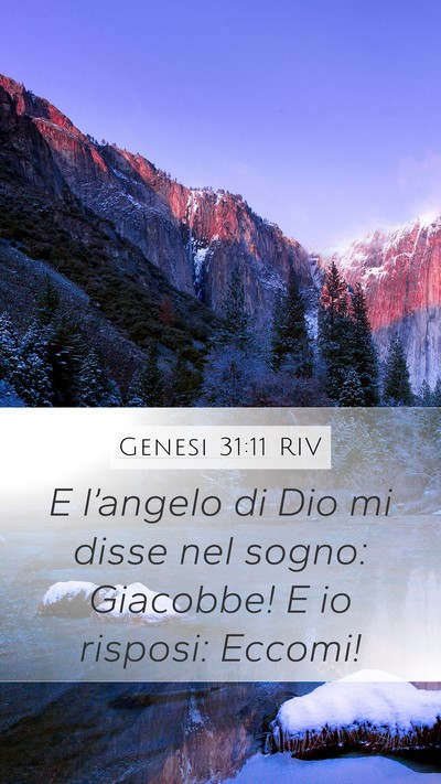 Genesi 31:11 RIV Bible Verse Image