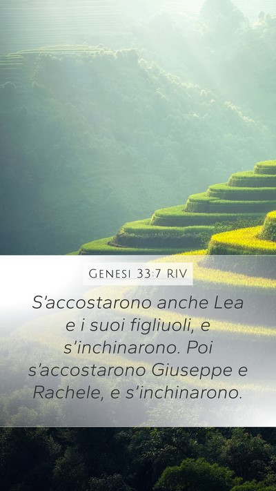 Genesi 33:7 RIV Mobile Phone Wallpaper - S’accostarono anche Lea e i suoi figliuoli, e - Mobile Bible Verse Wallpaper