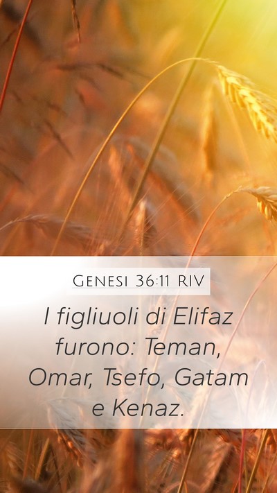 Genesi 36:11 RIV Bible Verse Image