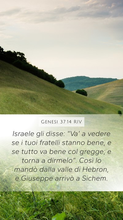 Genesi 37:14 RIV Bible Verse Image