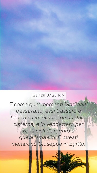 Genesi 37:28 RIV Bible Verse Image