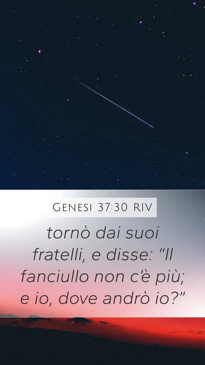 Genesi 37:30 RIV Mobile Phone Wallpaper - tornò dai suoi fratelli, e disse: “Il - Mobile Bible Verse Wallpaper