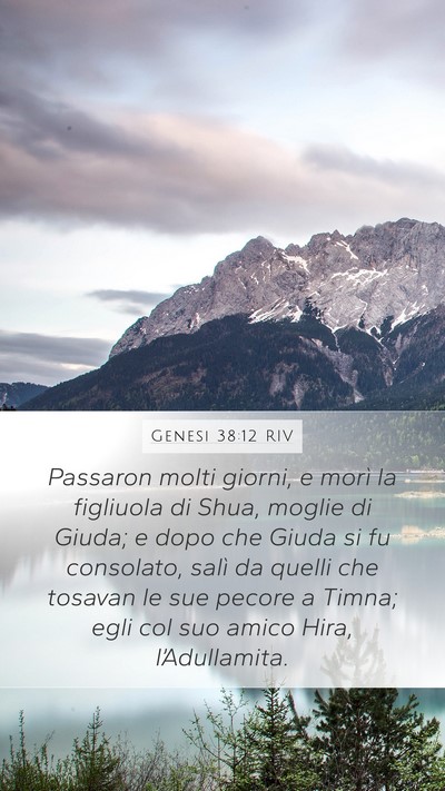 Genesi 38:12 RIV Bible Verse Image