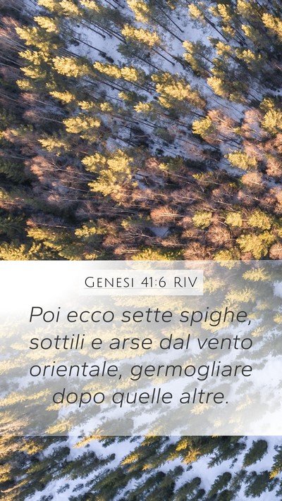 Genesi 41:6 RIV Bible Verse Image