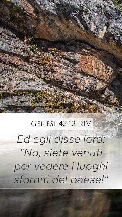 Genesi 42:12 RIV Mobile Phone Wallpaper - Ed egli disse loro: “No, siete venuti per - Mobile Bible Verse Wallpaper