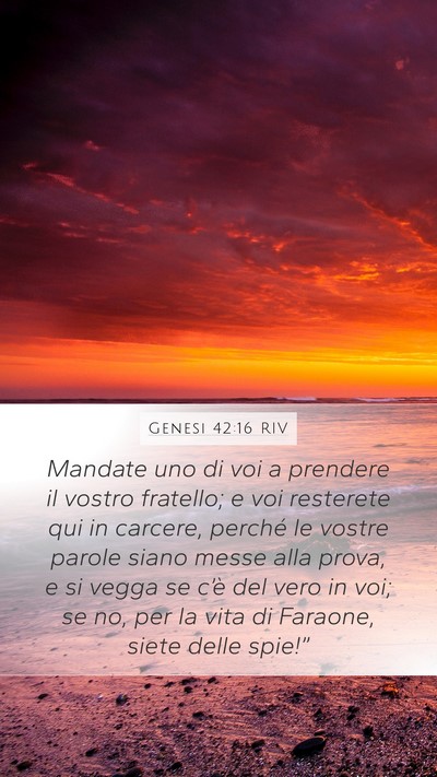 Genesi 42:16 RIV Bible Verse Image
