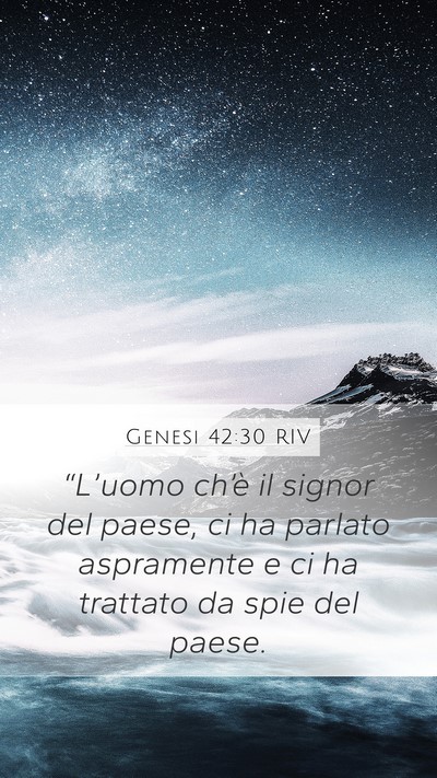 Genesi 42:30 RIV Bible Verse Image