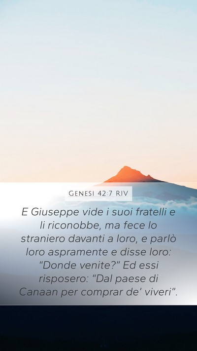 Genesi 42:7 RIV Bible Verse Image